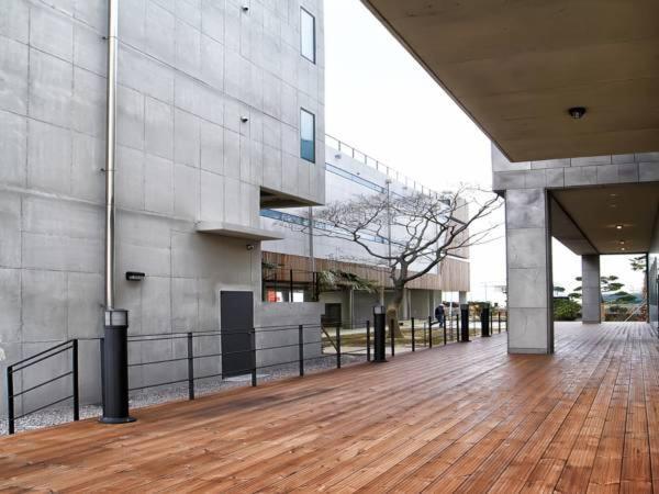Jaynchloe Hotel Seogwipo Exterior foto